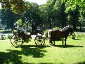 Kutsche Dorfteich