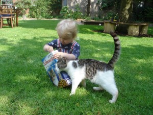 Katze